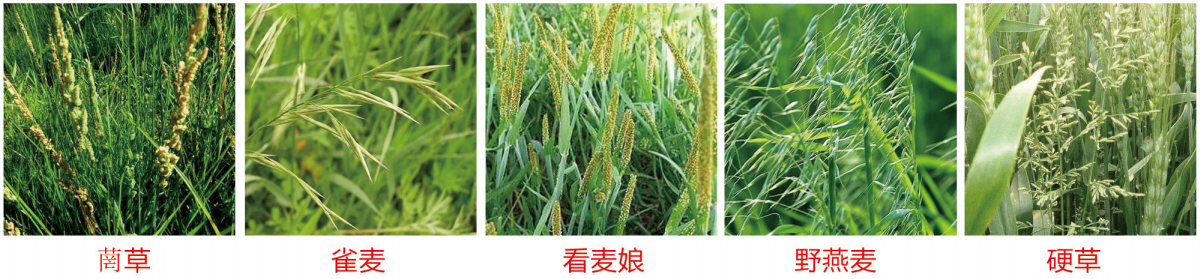 1664346975273026.png 42-42.png