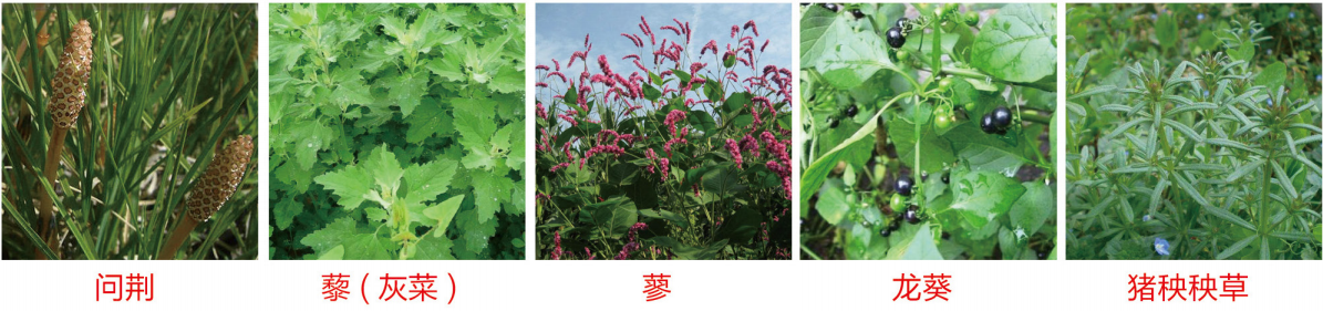 1664348943154951.png 47-47.png