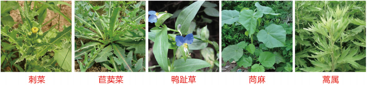 1664349582574410.png 48-48.png